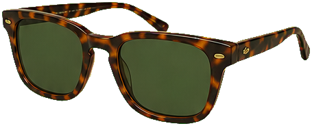 Tortoise sunglasses