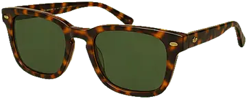 Tortoise sunglasses