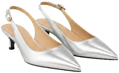 Silver shoes